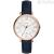 Fossil watch ES3843 only time woman Jacqueline collection