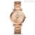 Watch Fossil woman only time analog steel strap ES4441 Carlie