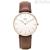 Watch Daniel Wellington steel only time unisex analog leather strap DW00100136 Classic St Waves