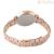 Michael Kors steel watch only analog time steel bracelet MK4336 Sofie