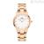 Only Time Clock Daniel Wellington DW00100211 Iconic Link Collection