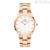 Only Time Clock Daniel Wellington DW00100209 Iconic Link Collection