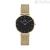 Watch only time woman Daniel Wellington DW00100347 steel Petite Evergold collection