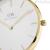 Daniel Wellington DW00100346 woman time only watch steel Petite Evergold collection