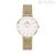 Daniel Wellington DW00100348 woman time only watch steel Petite Evergold collection