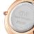 Watch only time woman Daniel Wellington DW00100317 steel Petite Rosewater collection
