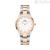 Watch only time woman Daniel Wellington DW00100358 steel Iconic Link Lumine collection