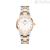 Watch only time woman Daniel Wellington DW00100359 steel Iconic Link Lumine collection