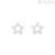 Stroili White Gold star earrings with zircons 1412816 Bon Ton collection