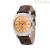 Emporio Armani beige men's chronograph watch AR0286 steel brown leather strap