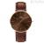 Daniel Wellington Petite Classic St Mawes DW00100627 steel leather strap women's watch