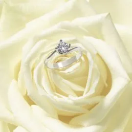 Gioielli eleganti per donna e uomo: orecchini, bracciali, collane e anelli in oro, argento e materiali pregiati. Design raffinato, moderno o classico, pensato per valorizzare ogni stile ed esprimere personalità. Ideale come accessorio per tutte le occasio